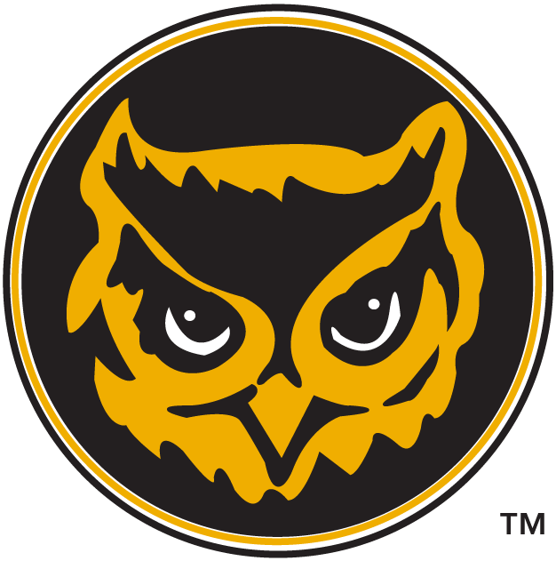 Kennesaw State Owls 1992-2011 Alternate Logo iron on transfers for clothing